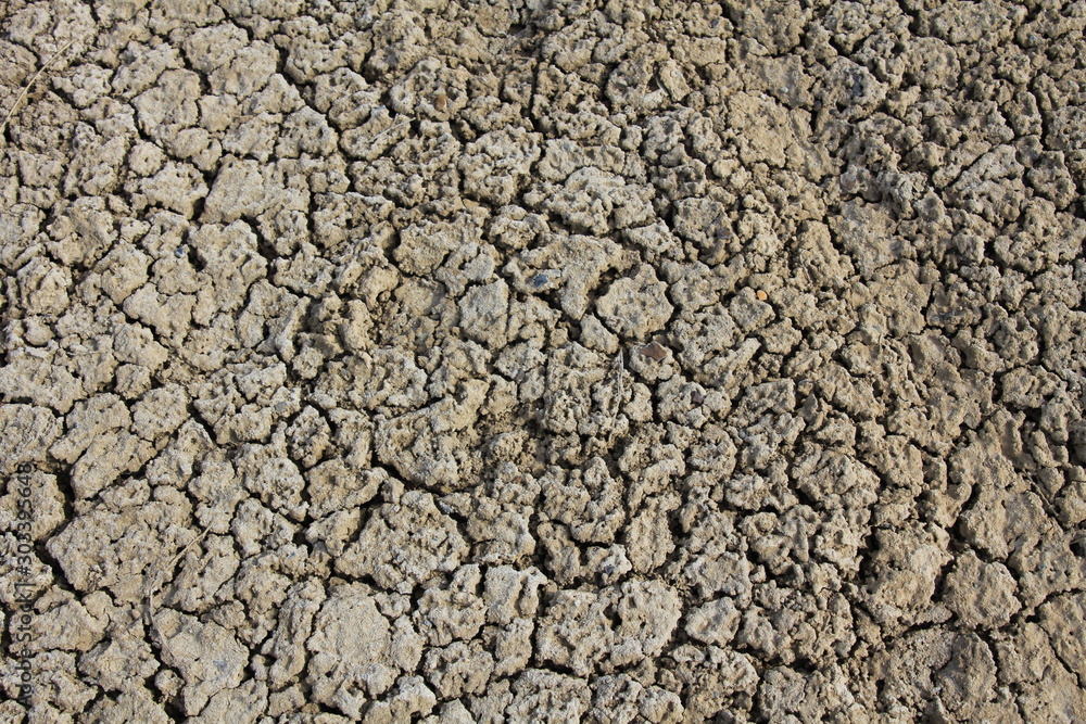 Drought in the savannah. Drought in the savannah.