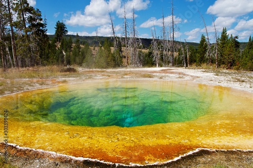 Morning Glory Pool geyser in yellowstone national park, Wyoming, USA 
