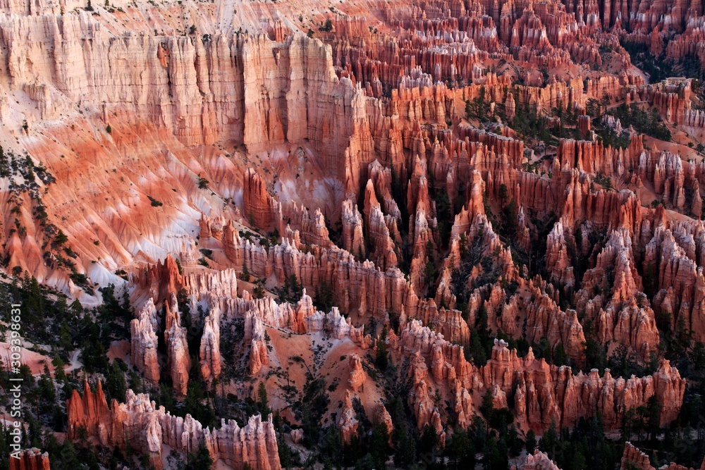 Red pinnacles of the Bryce Canyon National park, Utah, Usa Red pinnacles of the Bryce Canyon National park, Utah, Usa