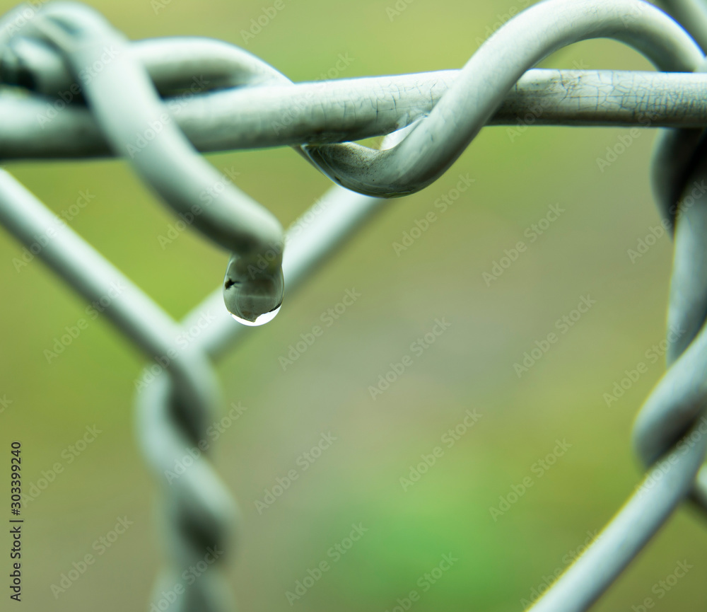 Water drops on iron border line. Barb wire with water drops Water drops on iron border line. Barb wire with water drops