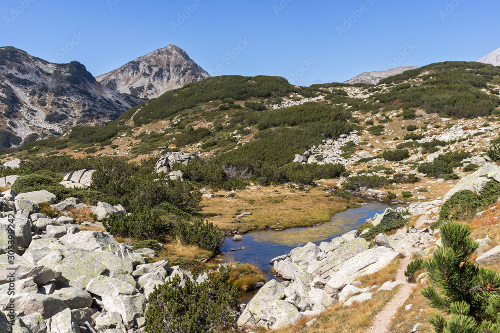 landscape with mountain river, Pirin Mountain, Bulgaria
