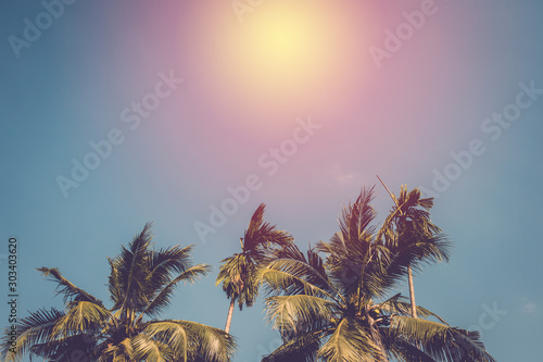 Coconut and palm tree on blue sky. vintage filter © pushish images