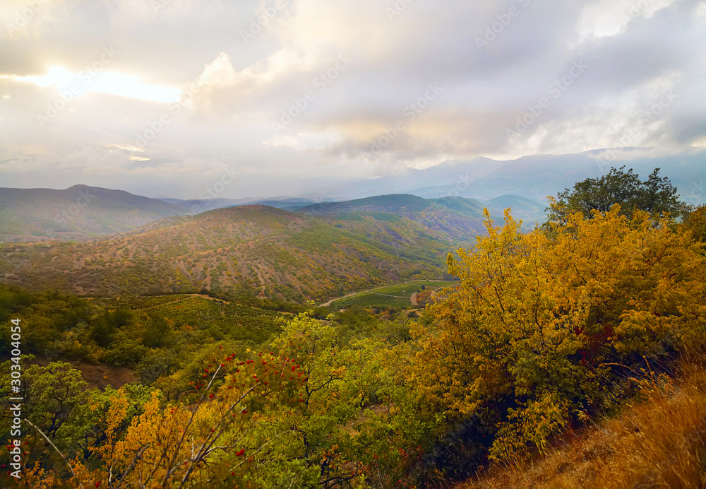 Obraz premium Autumn forest, yellow leaves, mountains