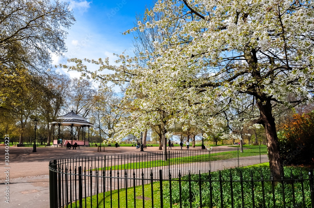Spring in Hyde park, London, UK