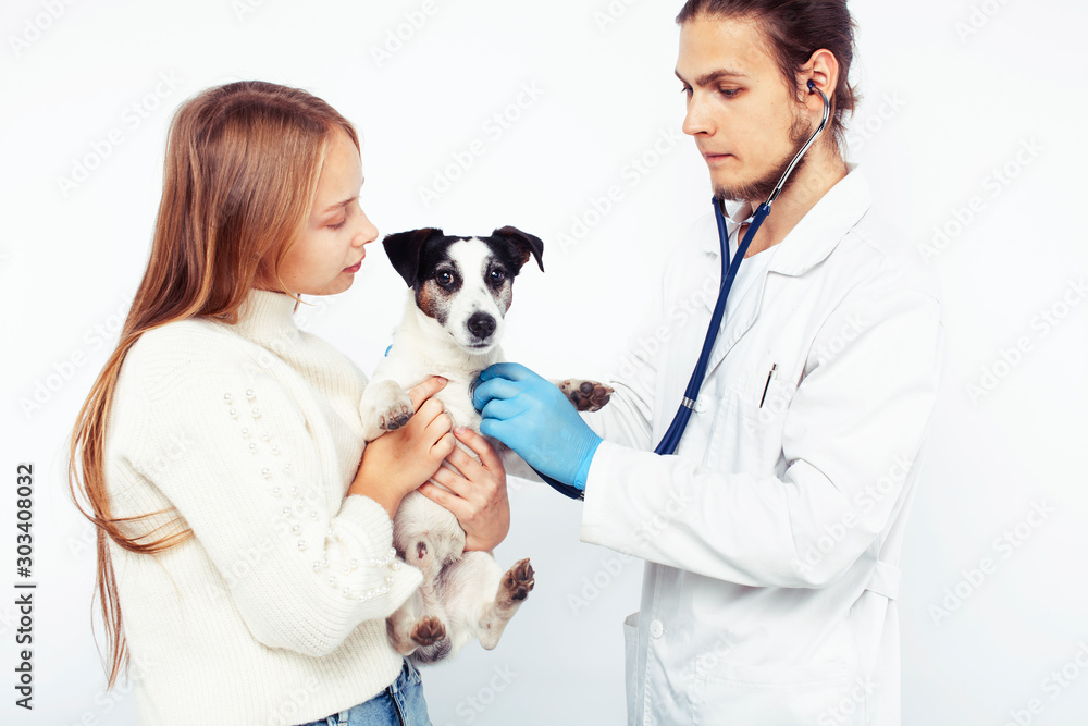 young veterinarian doctor in blue gloves examine little cute dog jack russell isolated on white background with owner blond girl holding it, animal healthcare young veterinarian doctor in blue gloves examine little cute dog jack russell isolated on white background with owner blond girl holding it, animal healthcare