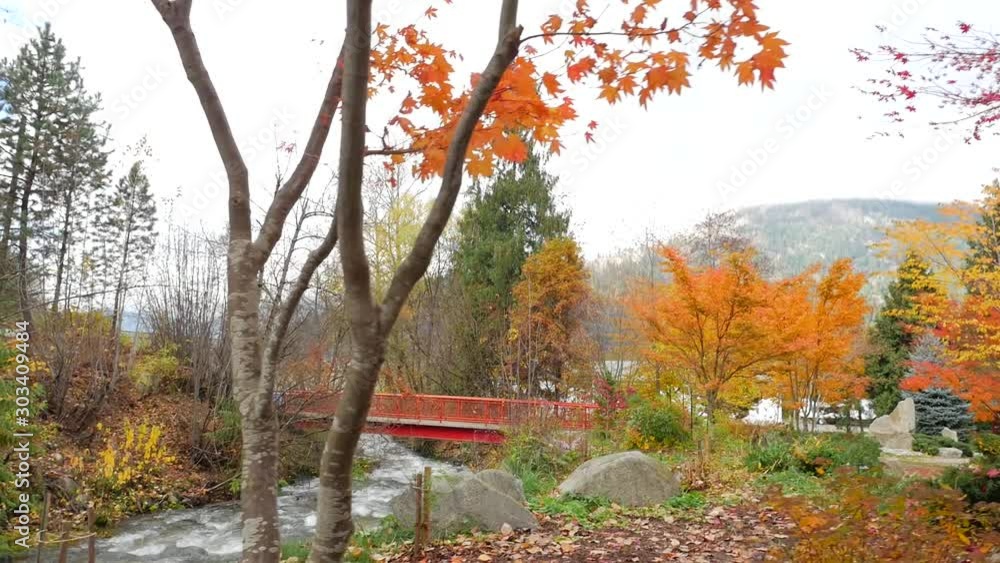 Revealing Water Rapids Flowing Down Stream With Red Bridge In The Fall 02 Revealing Water Rapids Flowing Down Stream With Red Bridge In The Fall 02