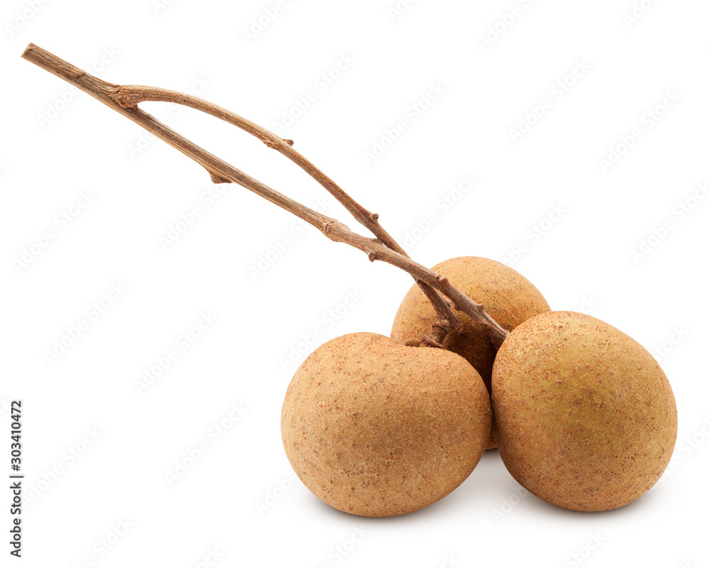 longan, isolated on white background, clipping path, full depth of field longan, isolated on white background, clipping path, full depth of field