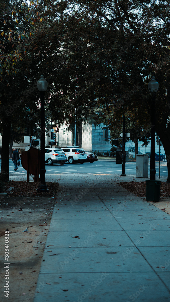 people walking in the park