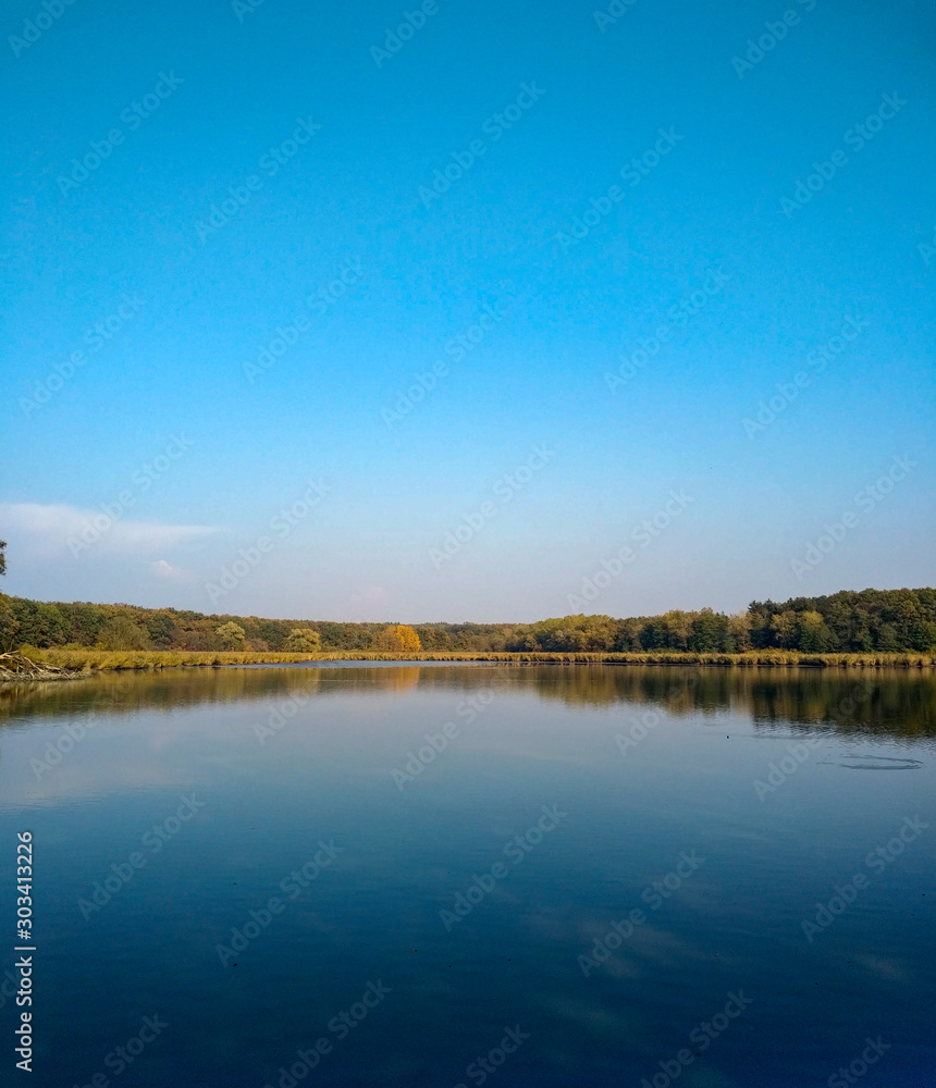 Tree reflexion in water, landscape photo
