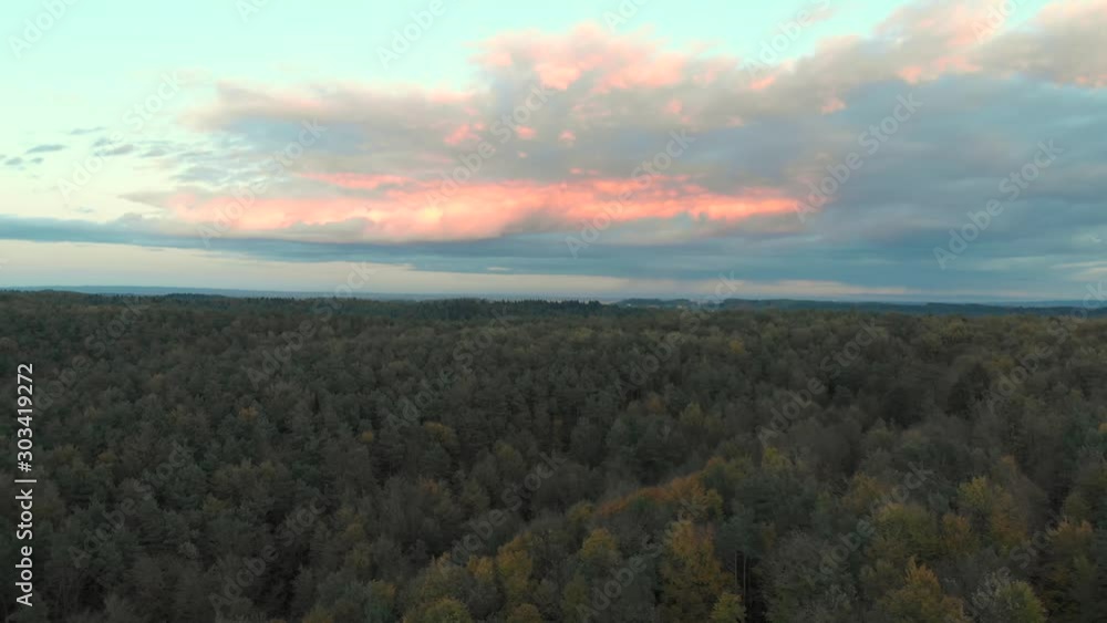 Aerial view, flying over endless lush pine tree forest. Cinematic drone shot flying over wild pine tree forest during a colorful autumn sunset. North europe wildnature documentary Aerial view, flying over endless lush pine tree forest. Cinematic drone shot flying over wild pine tree forest during a colorful autumn sunset. North europe wildnature documentary