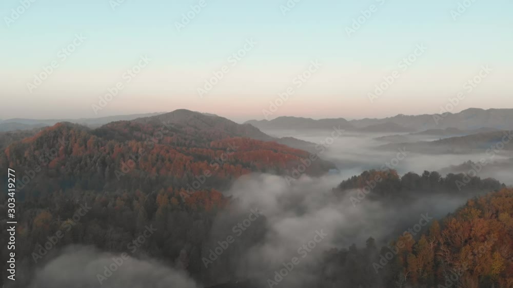 Aerial view of morning mist at sunrise, mountain covered with green pine forest tree with misty dramatic fog and colorful sky Aerial view of morning mist at sunrise, mountain covered with green pine forest tree with misty dramatic fog and colorful sky