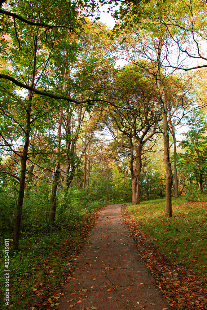 Mont Royal Park, Montreal - Canada. Park around the city of Montreal in Quebec. Simply gorgeous! Nature is beautiful and alive in connection with the city. September 2019.