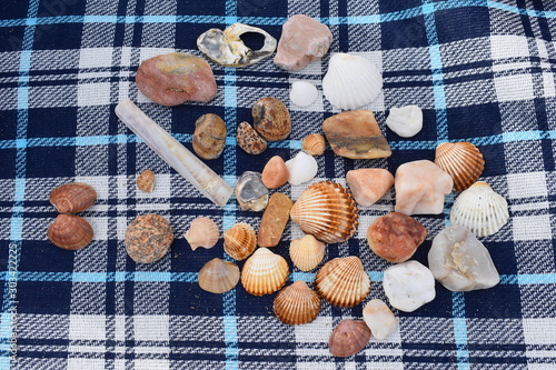 Mixed European beach seashells and pebbles in south of France.Picking up seashells while walking along the beach.Collection of shells on blue beach blanket in the French resort of Saint-Cyprien.