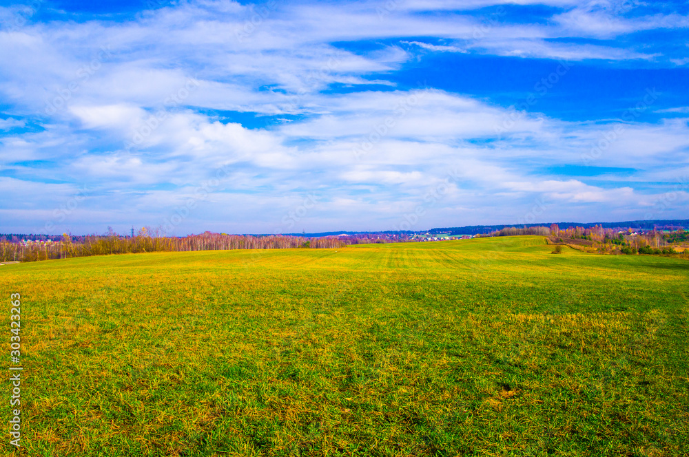 Agricultural field with bright greenery and blue sky.