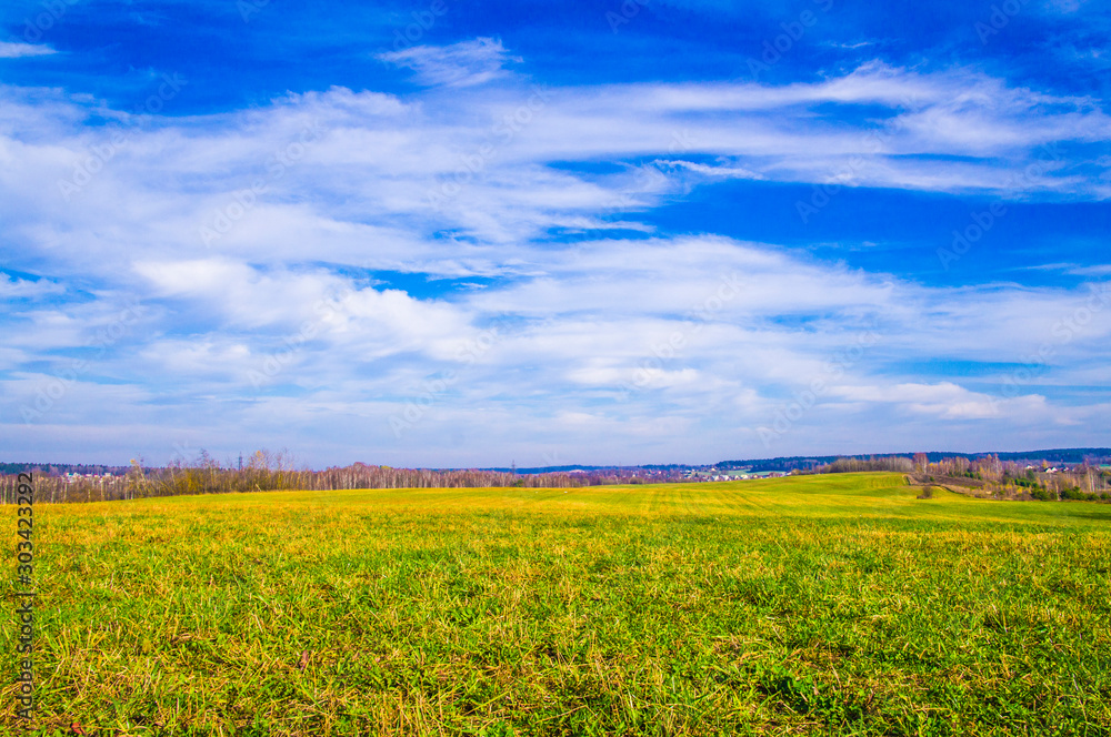 Agricultural field with bright greenery and blue sky.