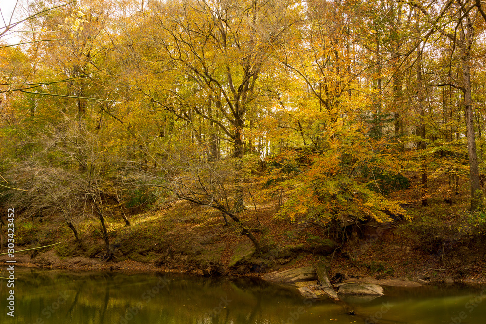 Autumn foliage along a river near a hiking trail.