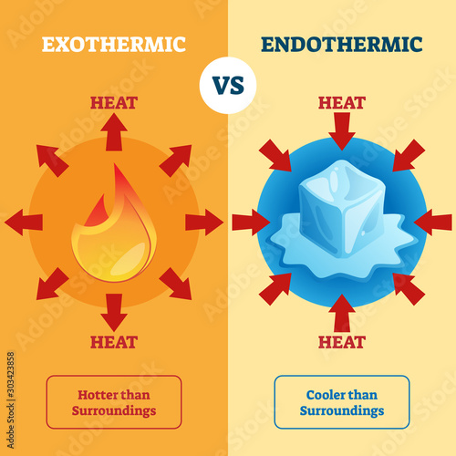 Exothermic and Endothermic vector illustration. Labeled educational scheme.