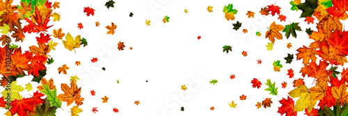 Fall season. Autumn leaves falling pattern isolated on white. Thanksgiving concept