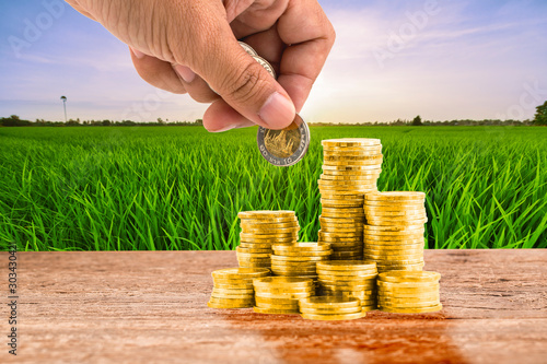 Hand invest on money on wood table top and paddy rice field background photo