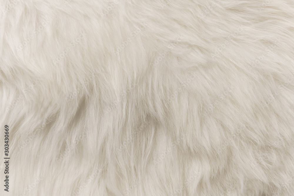 White artificial fur texture for background close-up White artificial fur texture for background close-up