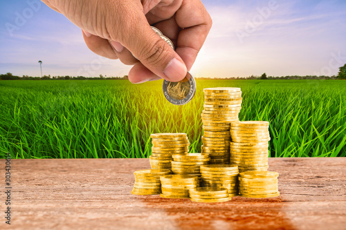 Hand invest on money on wood table top and paddy rice field background photo