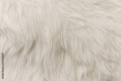 White artificial fur texture for background close-up