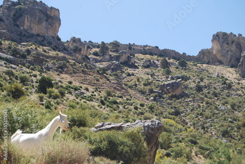 sierra de castril photo