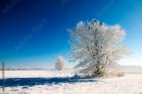 Windmill in Tree in Winter