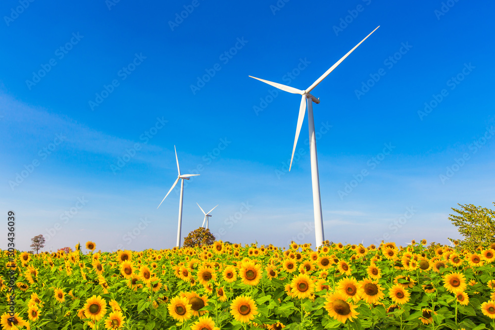 Wind turbine generator on blue sky with sunflower field