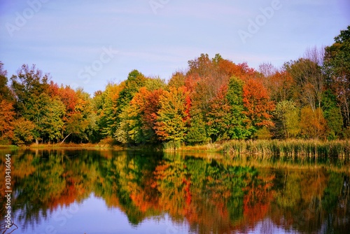 Scenic view of colorful trees among the pond in fall 