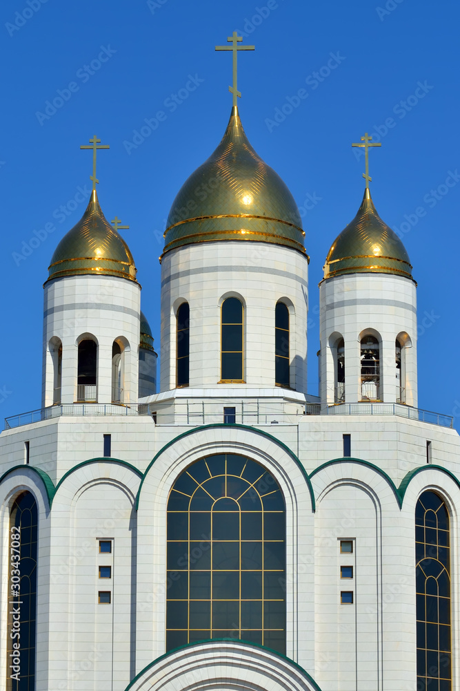 Domes of Cathedral of Christ the Saviour. Kaliningrad, Russia Domes of Cathedral of Christ the Saviour. Kaliningrad, Russia