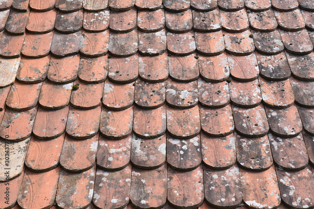 Old Weathered Terracotta Tiles on Roof 6949-042 Old Weathered Terracotta Tiles on Roof 6949-042