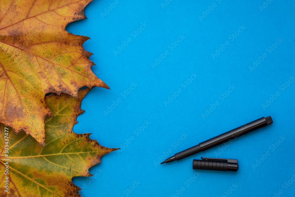 Creative Composition Using Brown Autumn Leaves and Black Pen on Blue Background. Copy Space in The Middle