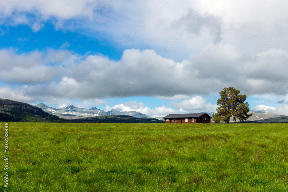Brown farmers cottage with big tree outdoors with mountain scenery background. Landscape and nature concept in norway/sel/rondane/kvam/oppland/hedmark.