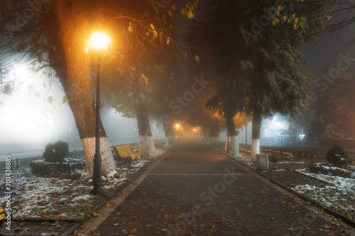 Empty alley at foggy street at night city © Mulderphoto