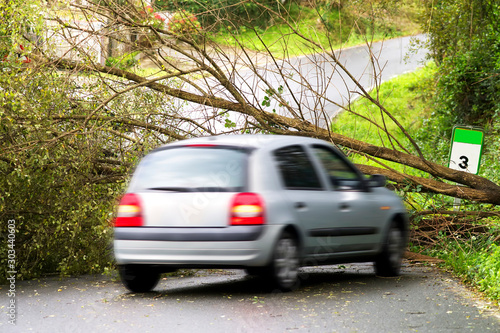 car auto in motion crashing into tree knocked down by storm © GDM photo and video