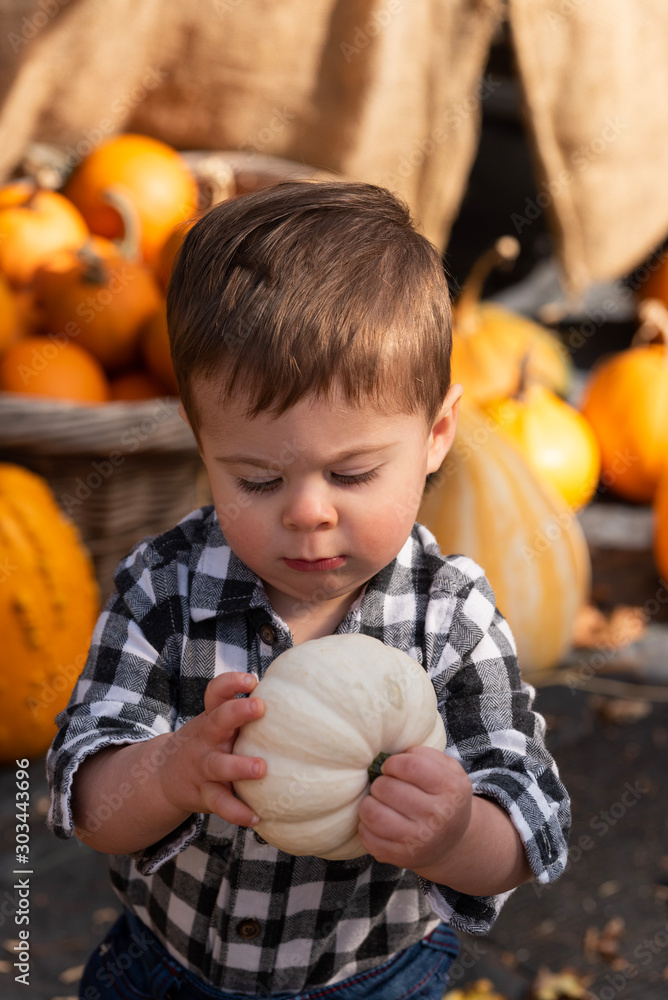 Fototapeta premium Toddler age boy in pumpkin patch