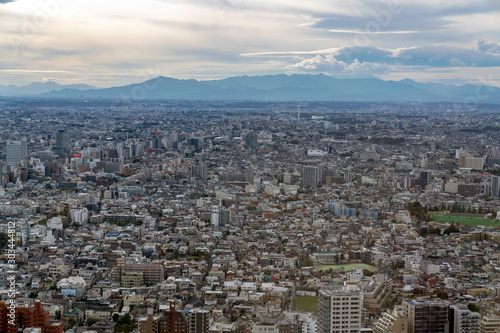 東京都庁から見る新宿の街並み © novitaly