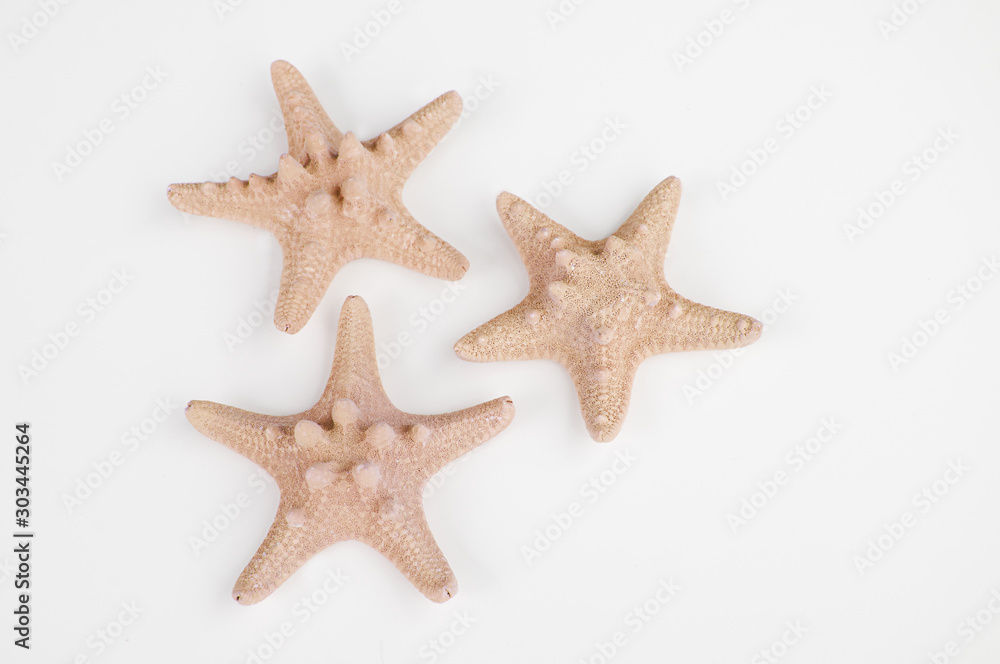 Three peach sand colored starfish isolated Three peach sand colored starfish isolated