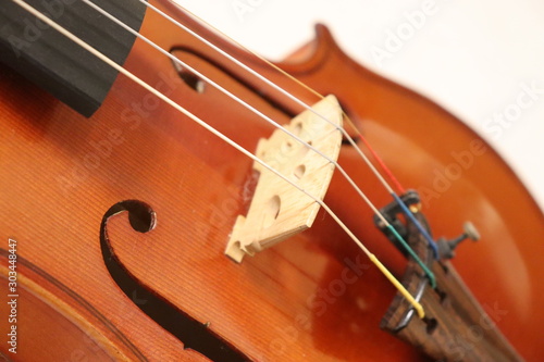バイオリン 駒