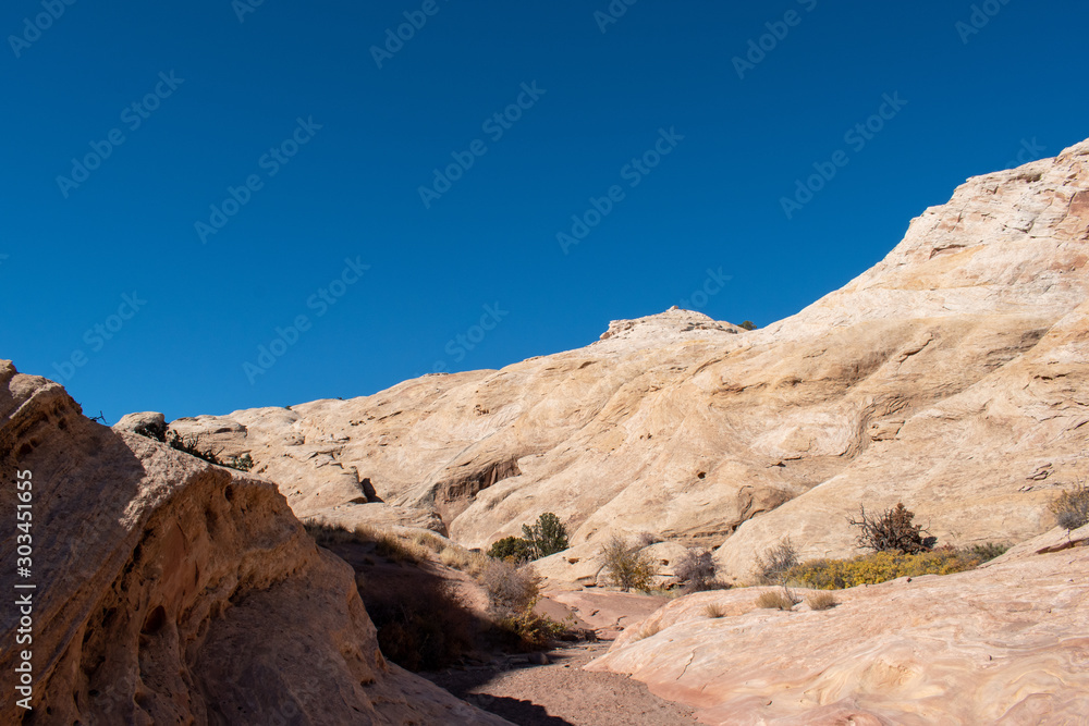 Canyon desert in utah with red and white sandstone