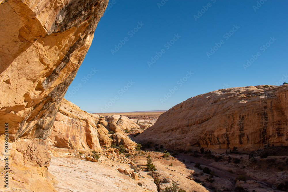 Desert canyon escape