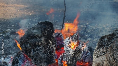 Fire burning charred plant remains and blowing smoke around, panning shot

