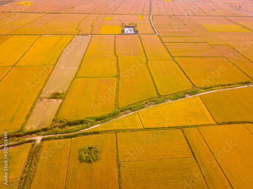 Mature rice in the field of highway and channel photo