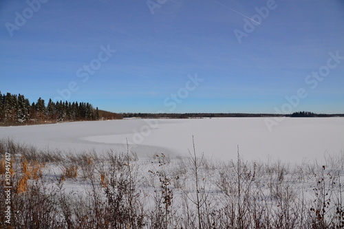 Astotin Lake in Winter