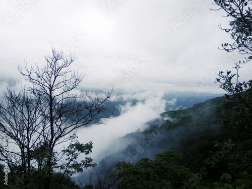 fog in mountains © Shubham