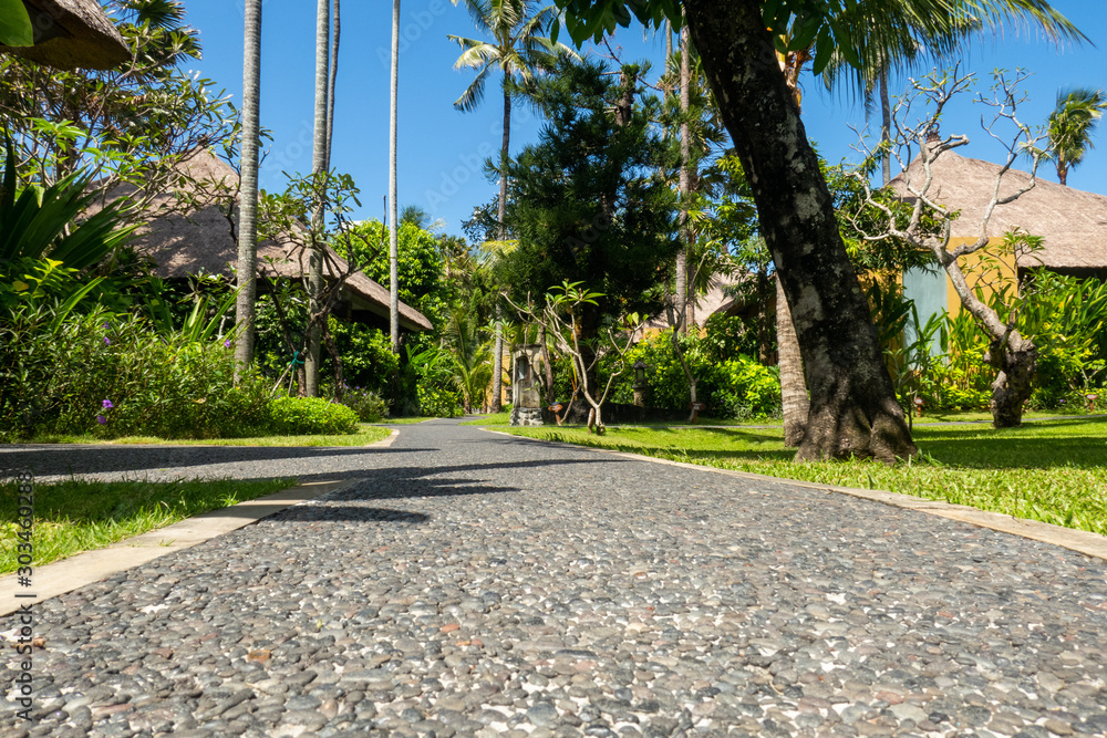 Pathway through the palm trees and tourist villas in a luxury tropical resort