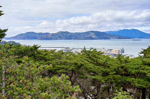 Obraz na płótnie San Francisco, CA, USA - May 15, 2018: View of the San Francisco Bay from the observation deck of Columbus. Hilly terrain, cloudy, Golden Gate Bridge visible through tree crowns w salonie