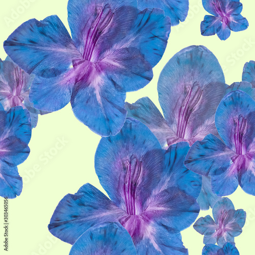 Gladiolus. Illustration, texture of flowers. Seamless pattern for continuous replicate. Floral background, photo collage for production of textile, cotton fabric.