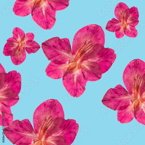 Gladiolus. Illustration  texture of flowers. Seamless pattern for continuous replicate. Floral background  photo collage for production of textile  cotton fabric.